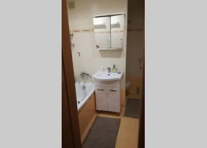 Flat3 With 2bedrooms Wifi * 오스트라바